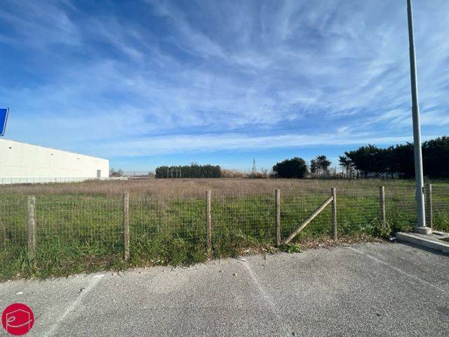 terreno agricolo in vendita a Longiano