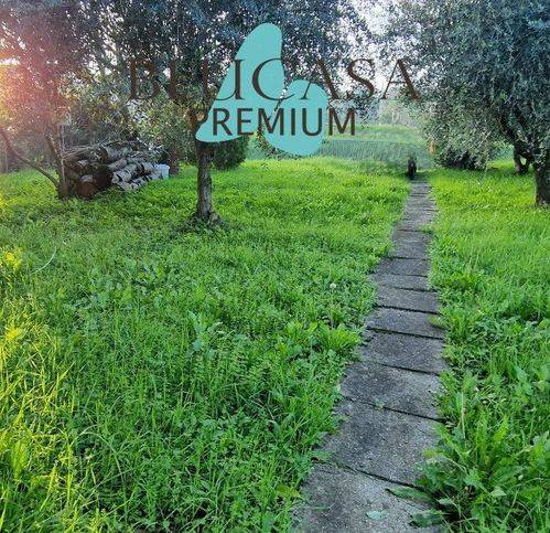 casa semindipendente in vendita a Meldola