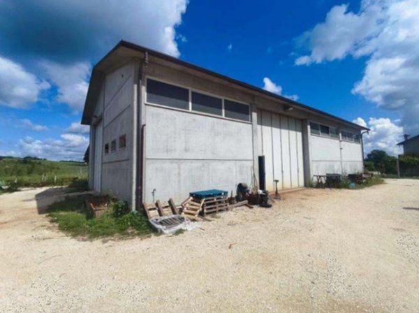 terreno agricolo in vendita a Meldola