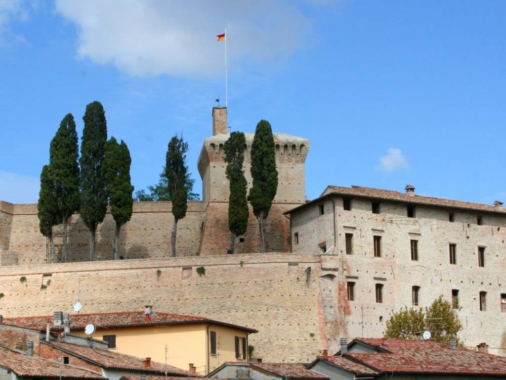 negozio in vendita a Meldola