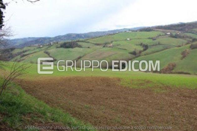 terreno agricolo in vendita a Meldola