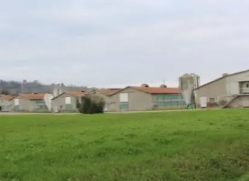 ufficio in vendita a Meldola