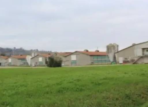 ufficio in vendita a Meldola