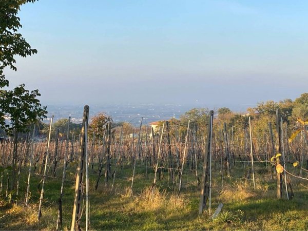 terreno edificabile in vendita a Meldola