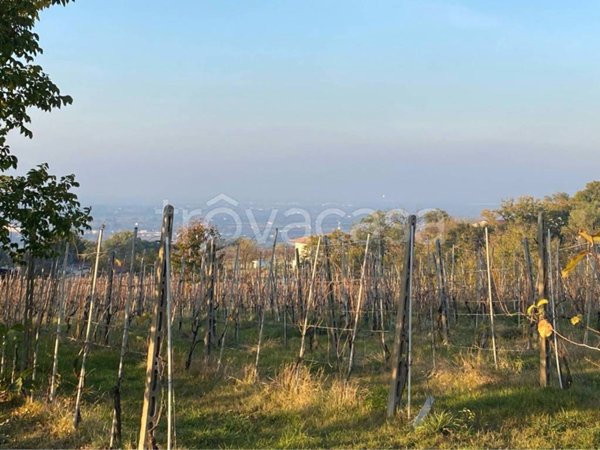 appartamento in vendita a Meldola