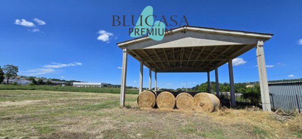 terreno edificabile in vendita a Meldola in zona San Colombano