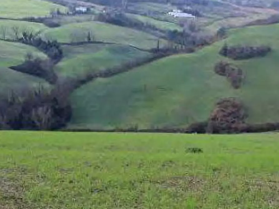 terreno agricolo in vendita a Meldola