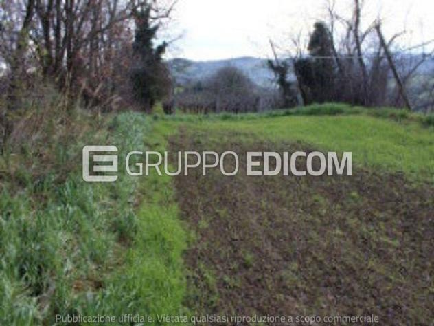 terreno agricolo in vendita a Meldola