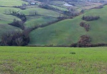 terreno agricolo in vendita a Meldola