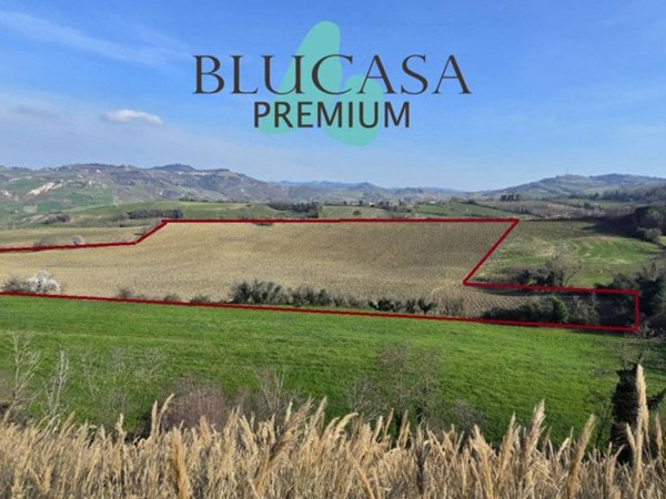 terreno agricolo in vendita a Meldola in zona Teodorano