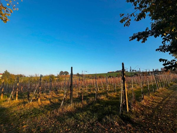 terreno edificabile in vendita a Meldola