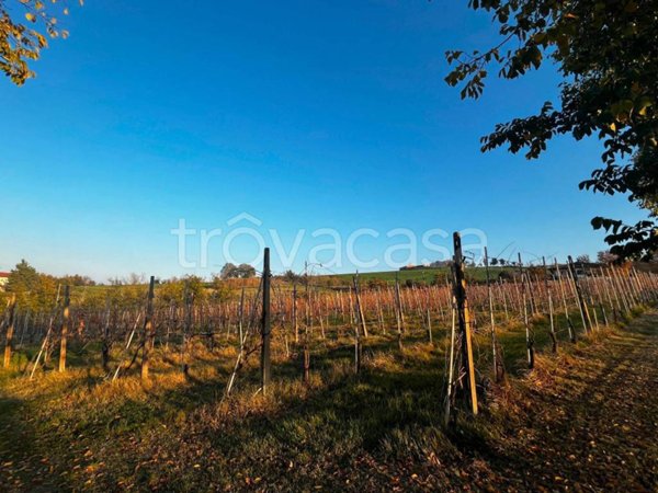 appartamento in vendita a Meldola