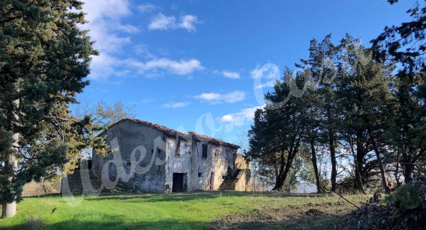 immagine annuncio 0 di 5