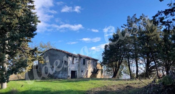 casa indipendente in vendita a Meldola