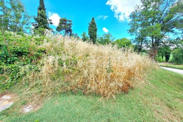 terreno agricolo in vendita a Meldola
