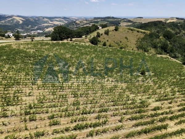 terreno edificabile in vendita a Meldola in zona Teodorano