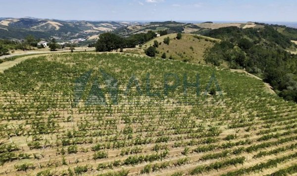 terreno edificabile in vendita a Meldola in zona Teodorano