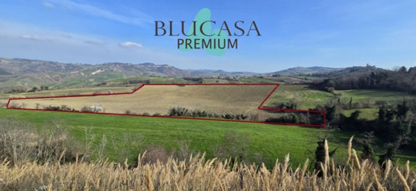 terreno in vendita a Meldola in zona Teodorano