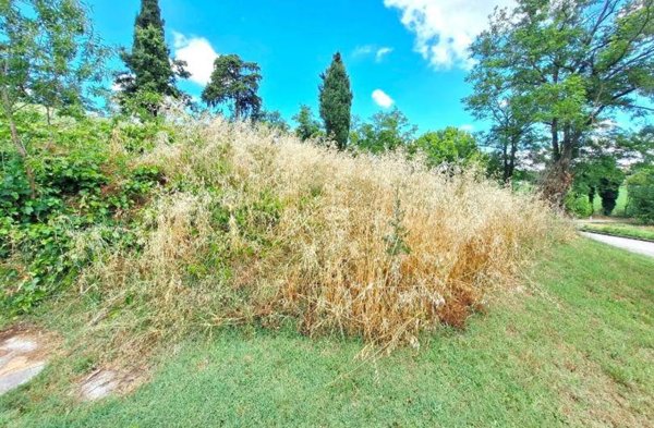 terreno in vendita a Meldola