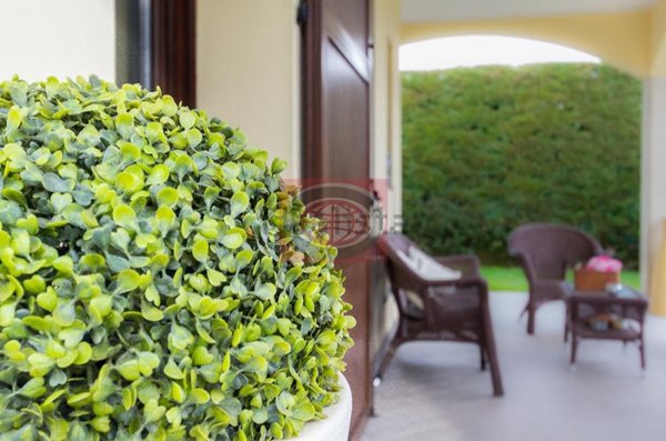 immagine annuncio 0 di 1