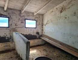 appartamento in vendita a Mercato Saraceno