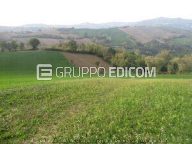 terreno agricolo in vendita a Mercato Saraceno in zona Serra