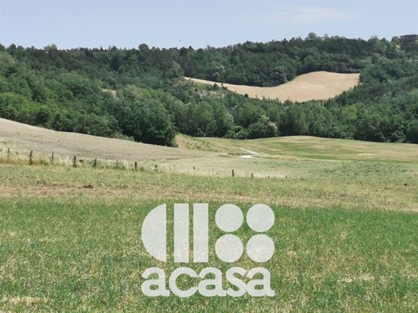 azienda agricola in vendita a Mercato Saraceno