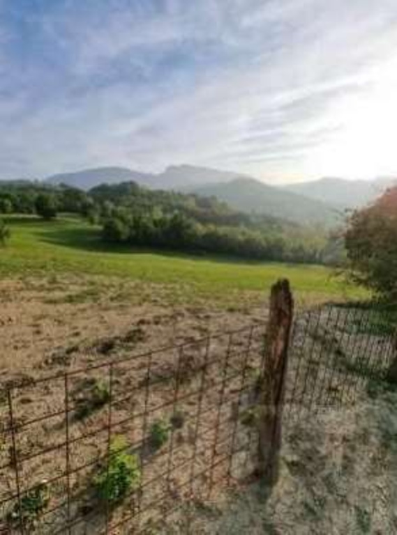terreno agricolo in vendita a Mercato Saraceno in zona Linaro