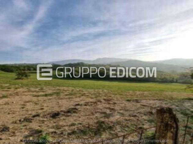 terreno agricolo in vendita a Mercato Saraceno in zona Serra