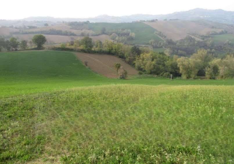 terreno agricolo in vendita a Mercato Saraceno in zona Serra