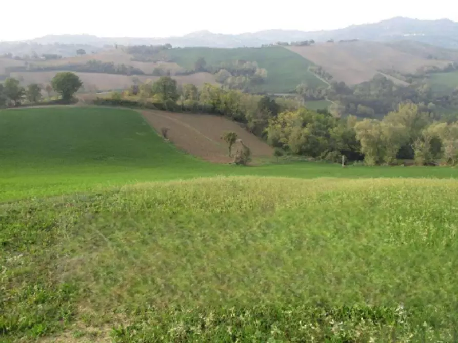 terreno agricolo in vendita a Mercato Saraceno in zona Serra