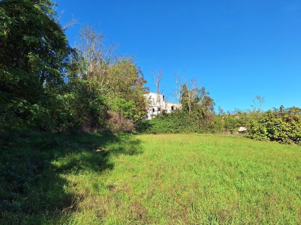 esavano in vendita a Mercato Saraceno