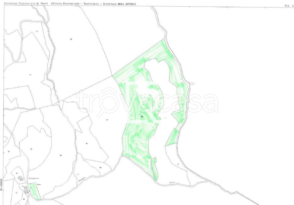 terreno agricolo in vendita a Mercato Saraceno