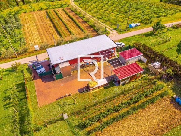 casa indipendente in vendita a Mercato Saraceno