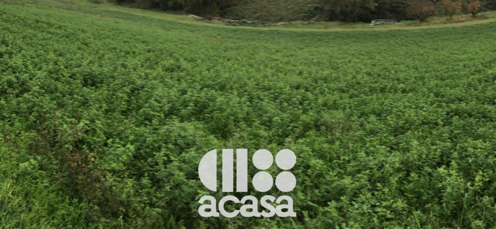 locale di sgombero in vendita a Mercato Saraceno