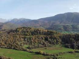 villa in vendita a Mercato Saraceno in zona Monte Iottone