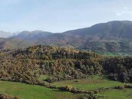 terreno agricolo in vendita a Mercato Saraceno in zona Monte Iottone