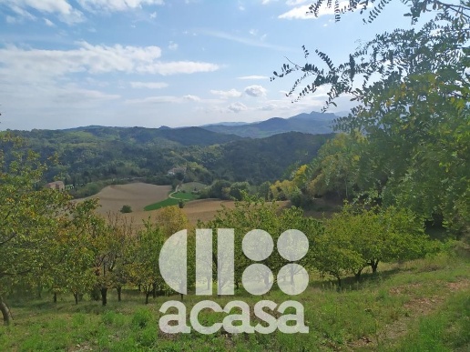 casa indipendente in vendita a Mercato Saraceno