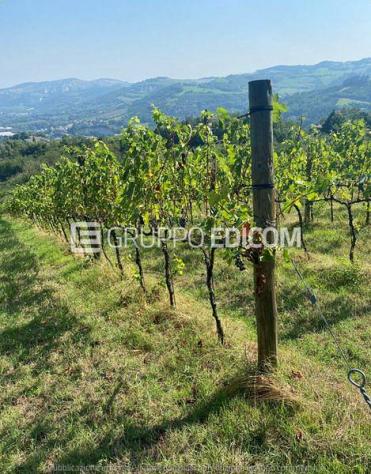 negozio in vendita a Modigliana