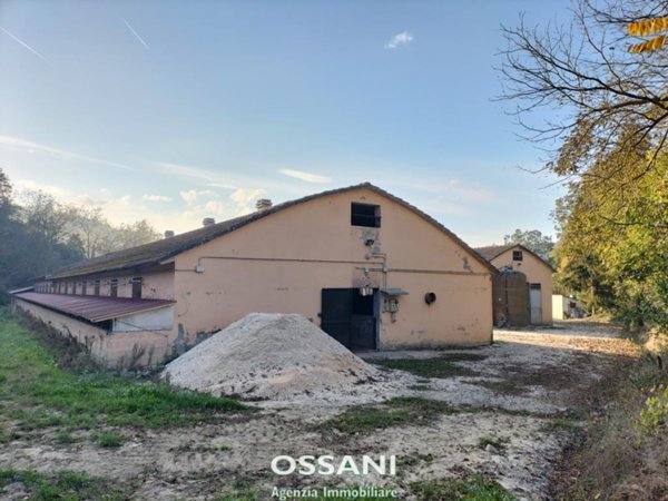 terreno agricolo in vendita a Modigliana