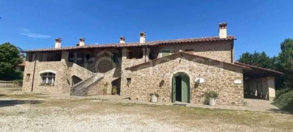 azienda agricola in vendita a Modigliana