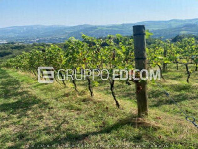 casale in vendita a Modigliana