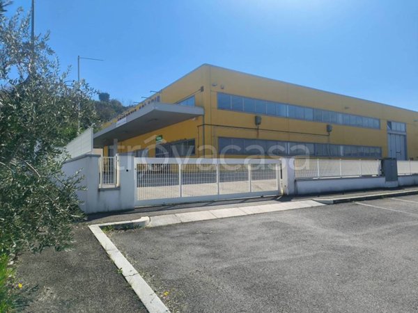 locale commerciale in vendita a Montiano