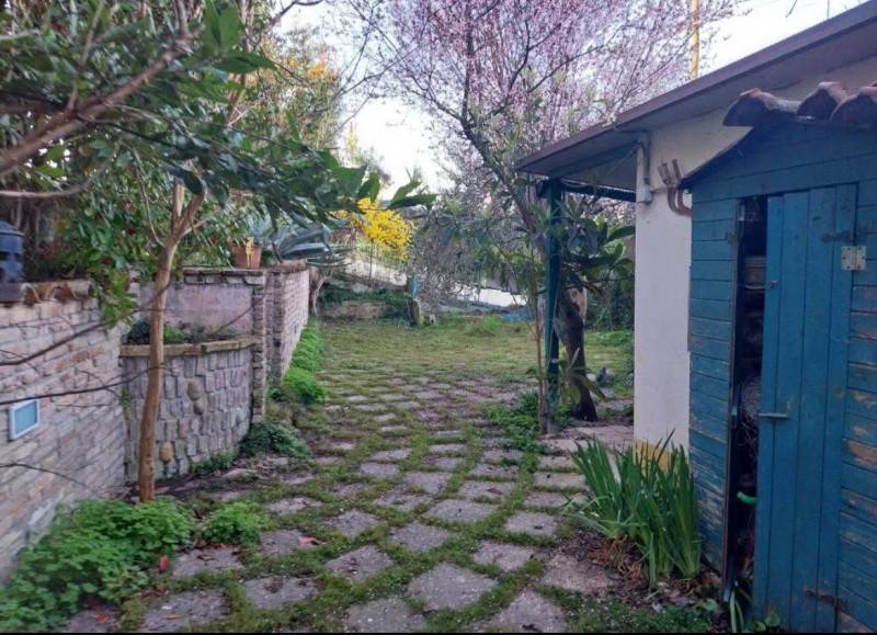 casa indipendente in vendita a Montiano