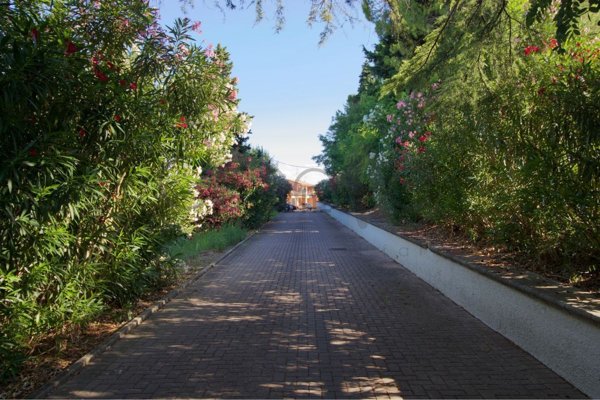 appartamento in vendita a Montiano in zona Montenovo