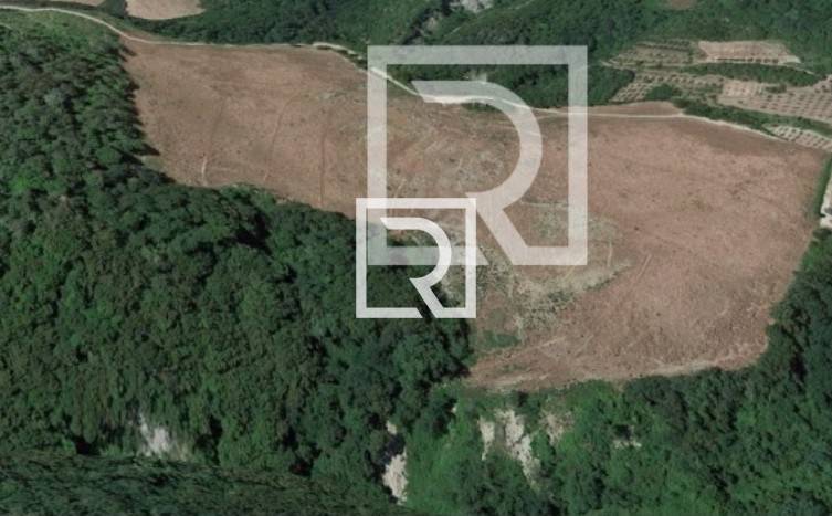 terreno agricolo in vendita a Predappio