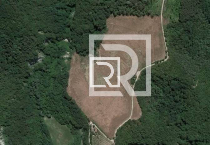 terreno agricolo in vendita a Predappio