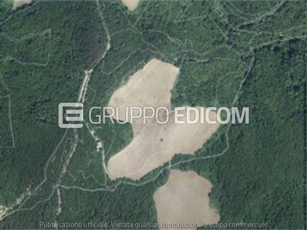 terreno agricolo in vendita a Predappio in zona Predappio Alta