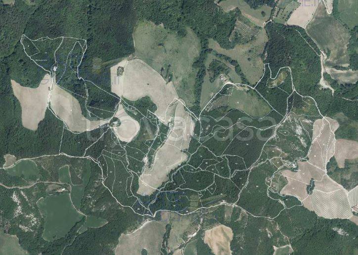 terreno agricolo in vendita a Predappio in zona Fiumana