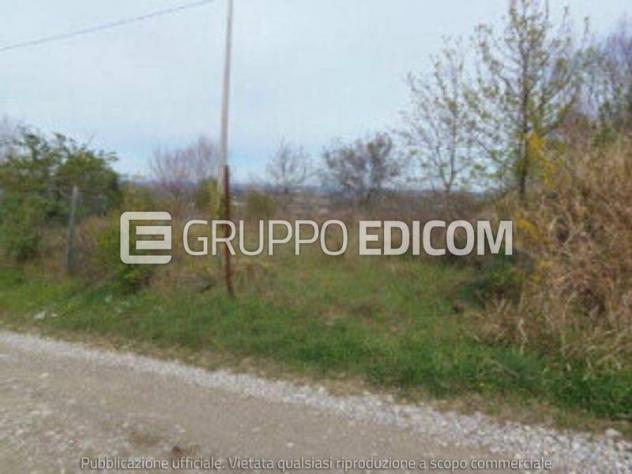 terreno agricolo in vendita a Predappio in zona Fiumana